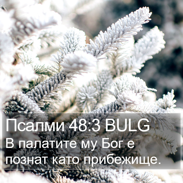 Псалми 48:3 BULG Bible Study