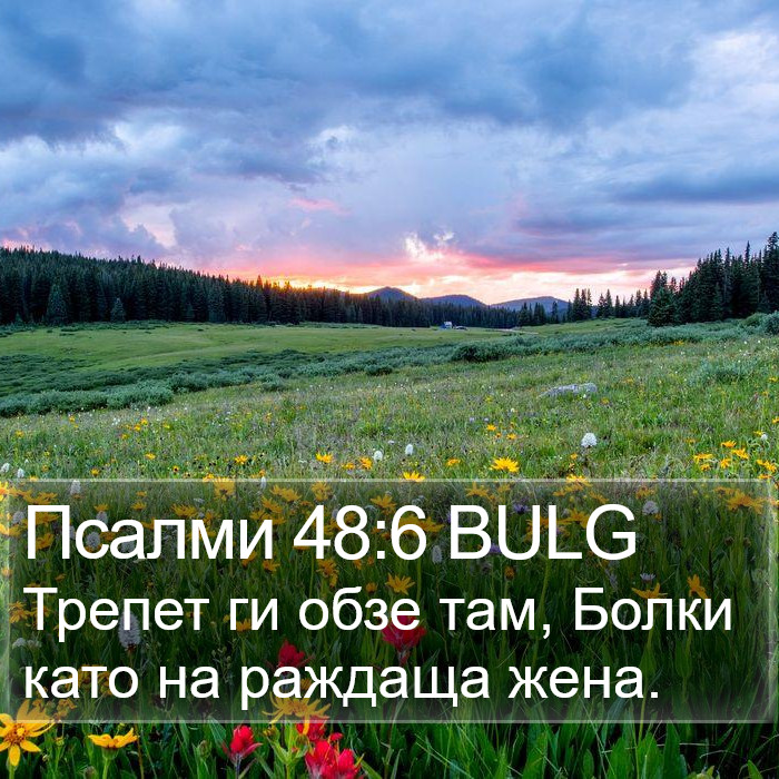 Псалми 48:6 BULG Bible Study