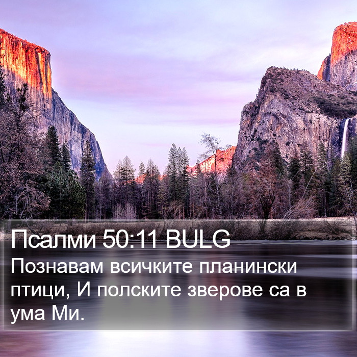 Псалми 50:11 BULG Bible Study