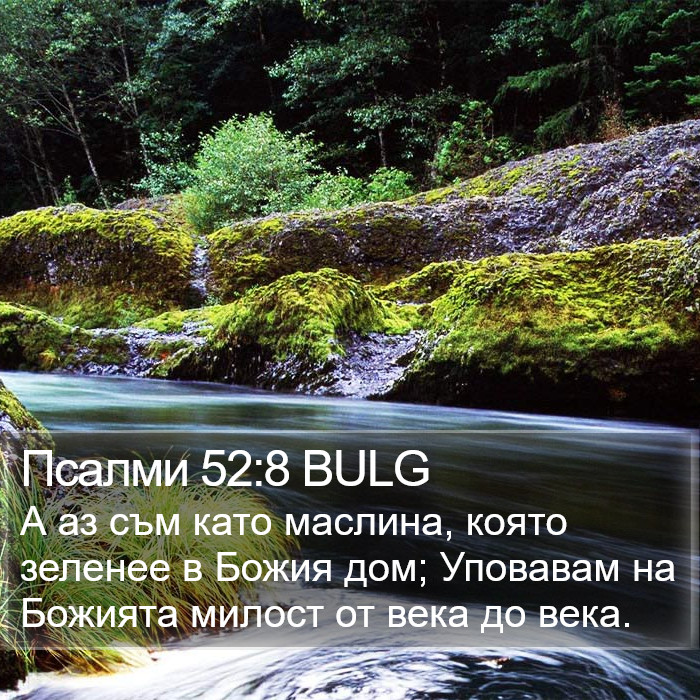 Псалми 52:8 BULG Bible Study