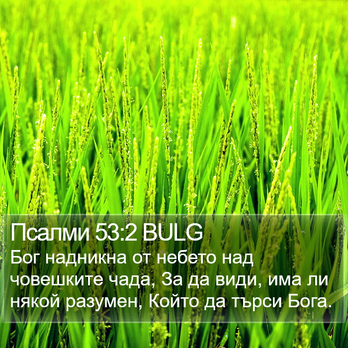 Псалми 53:2 BULG Bible Study