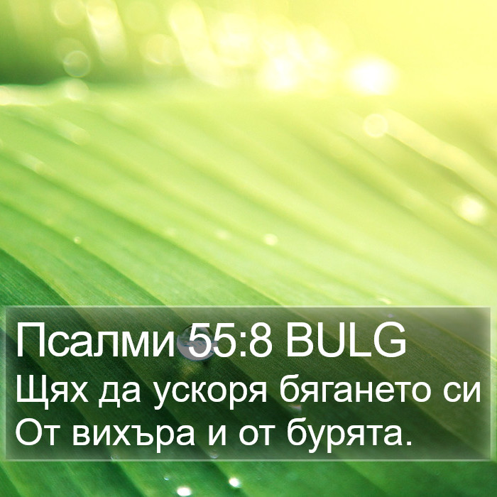 Псалми 55:8 BULG Bible Study