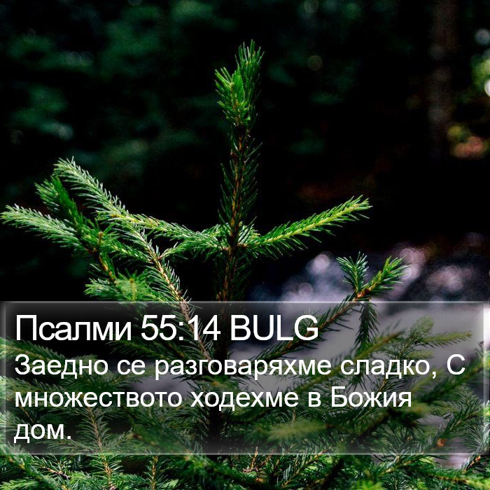 Псалми 55:14 BULG Bible Study