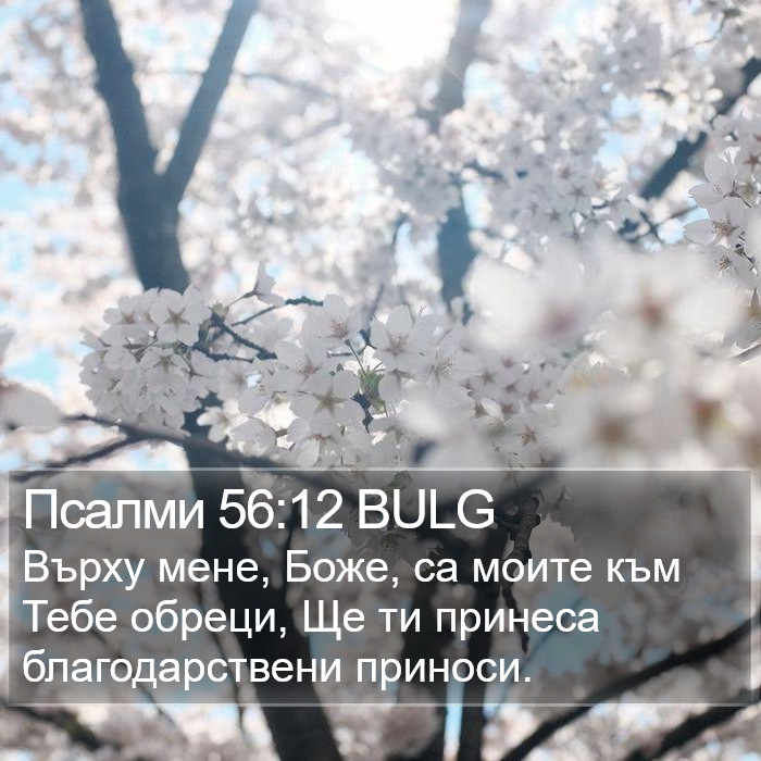 Псалми 56:12 BULG Bible Study