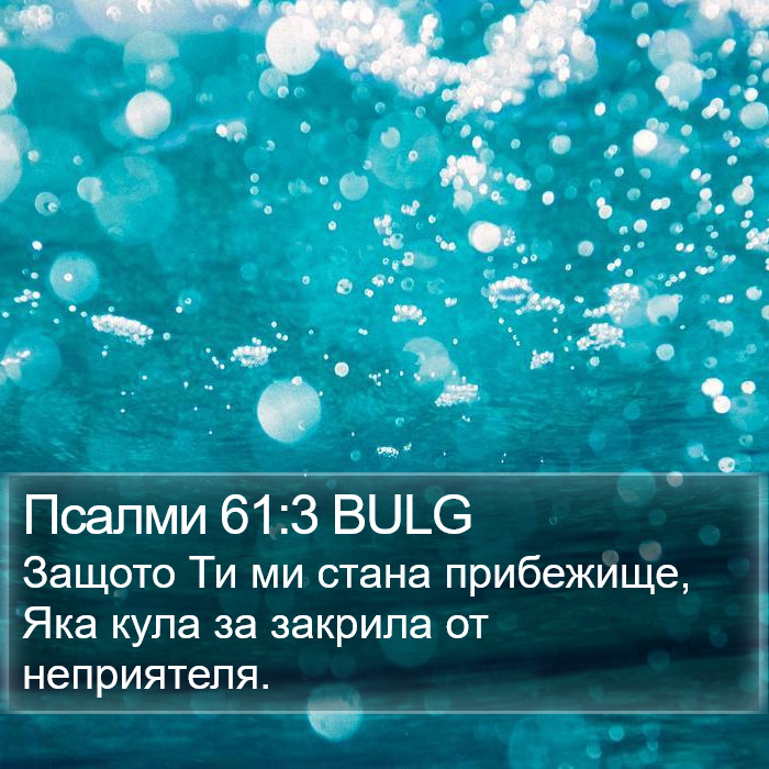 Псалми 61:3 BULG Bible Study