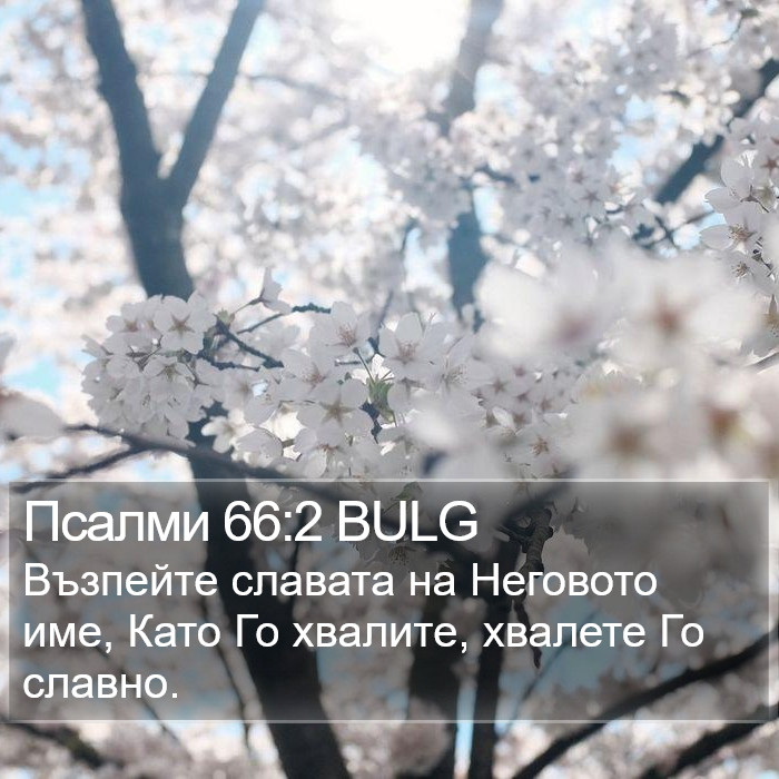 Псалми 66:2 BULG Bible Study