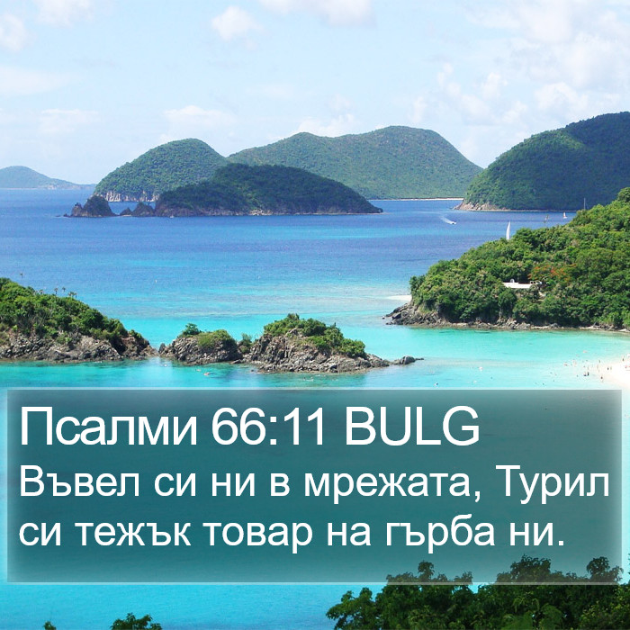 Псалми 66:11 BULG Bible Study