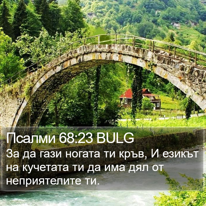 Псалми 68:23 BULG Bible Study