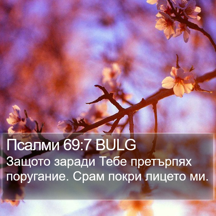 Псалми 69:7 BULG Bible Study