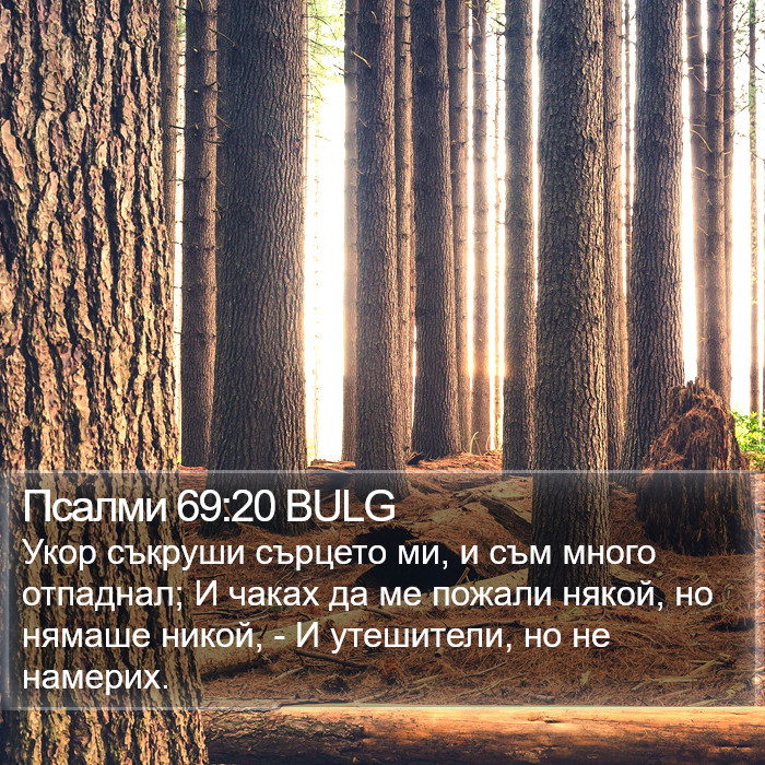 Псалми 69:20 BULG Bible Study