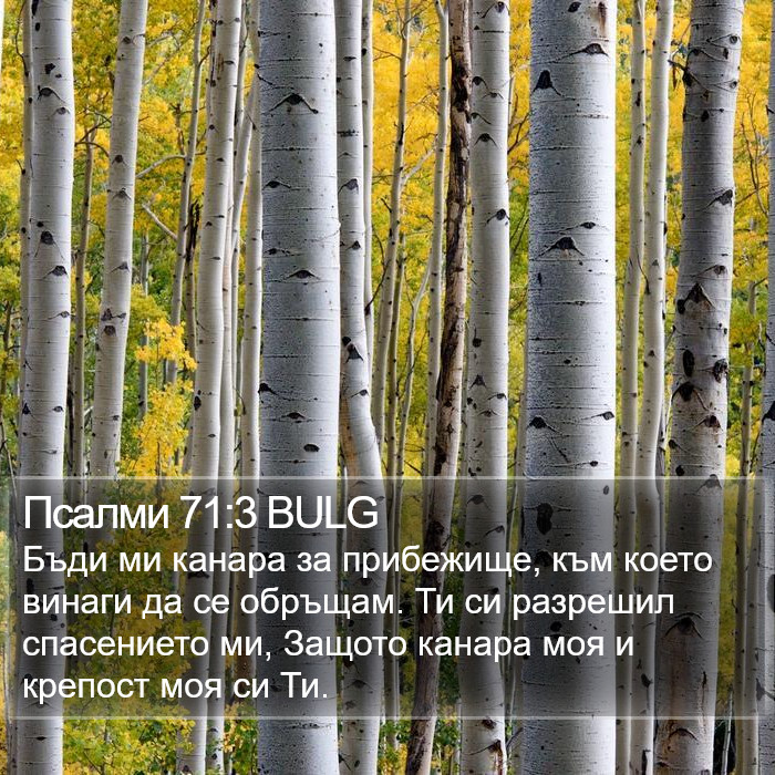 Псалми 71:3 BULG Bible Study