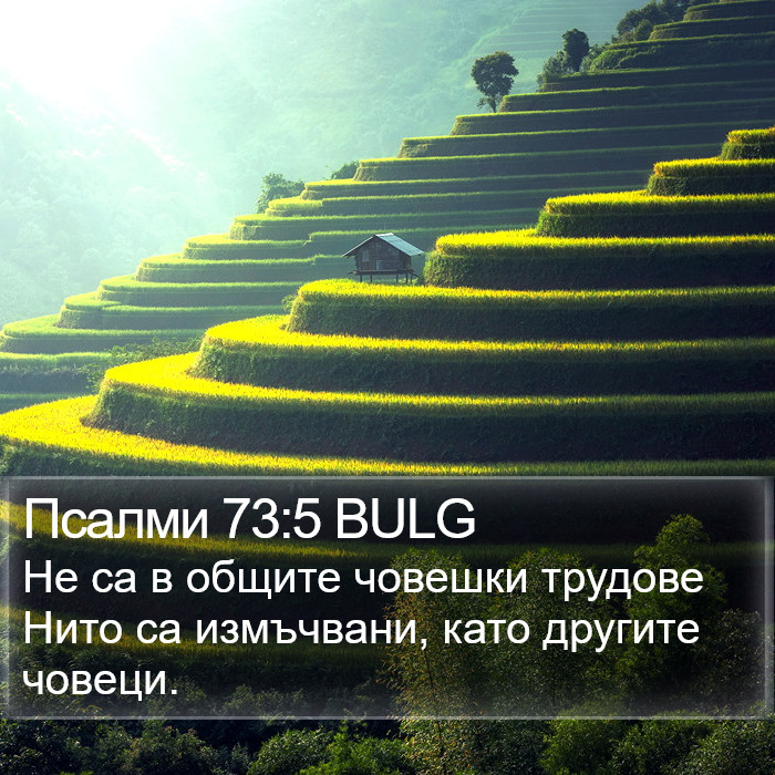 Псалми 73:5 BULG Bible Study