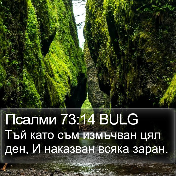 Псалми 73:14 BULG Bible Study