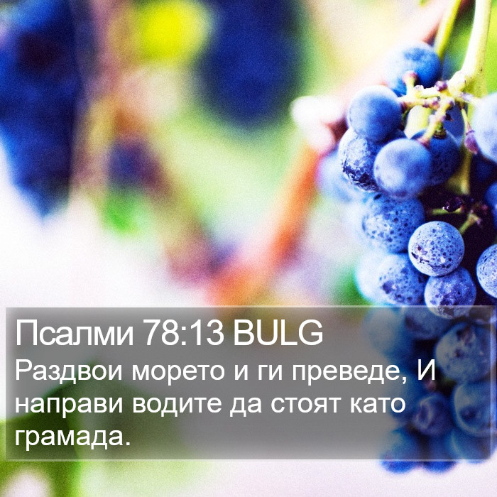 Псалми 78:13 BULG Bible Study