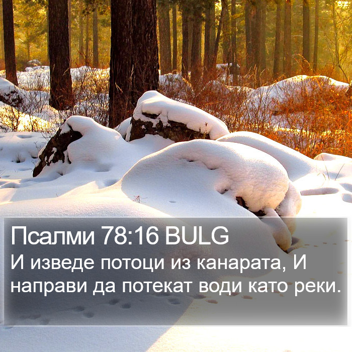 Псалми 78:16 BULG Bible Study