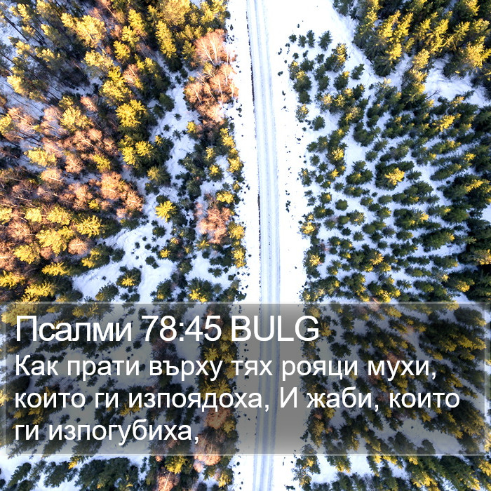 Псалми 78:45 BULG Bible Study