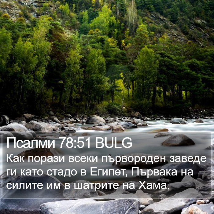 Псалми 78:51 BULG Bible Study