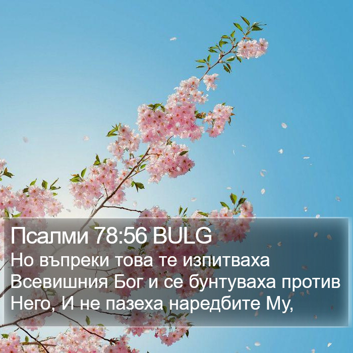 Псалми 78:56 BULG Bible Study