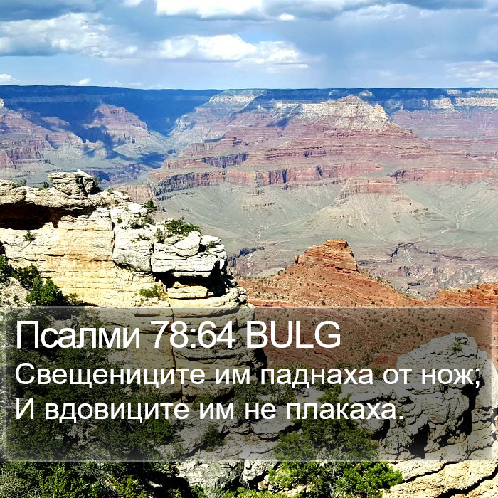 Псалми 78:64 BULG Bible Study