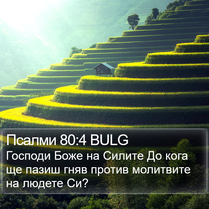 Псалми 80:4 BULG Bible Study