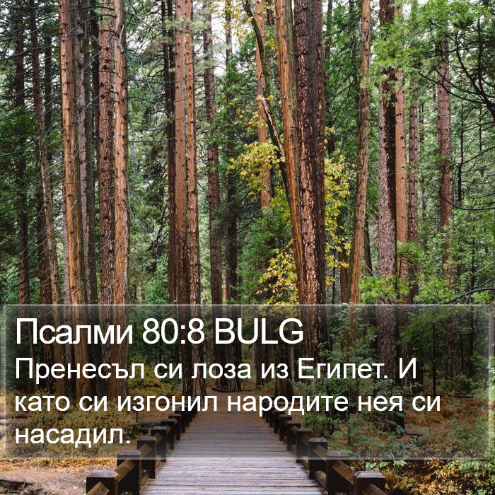 Псалми 80:8 BULG Bible Study