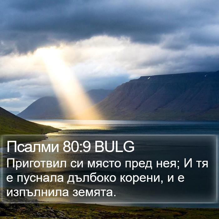 Псалми 80:9 BULG Bible Study