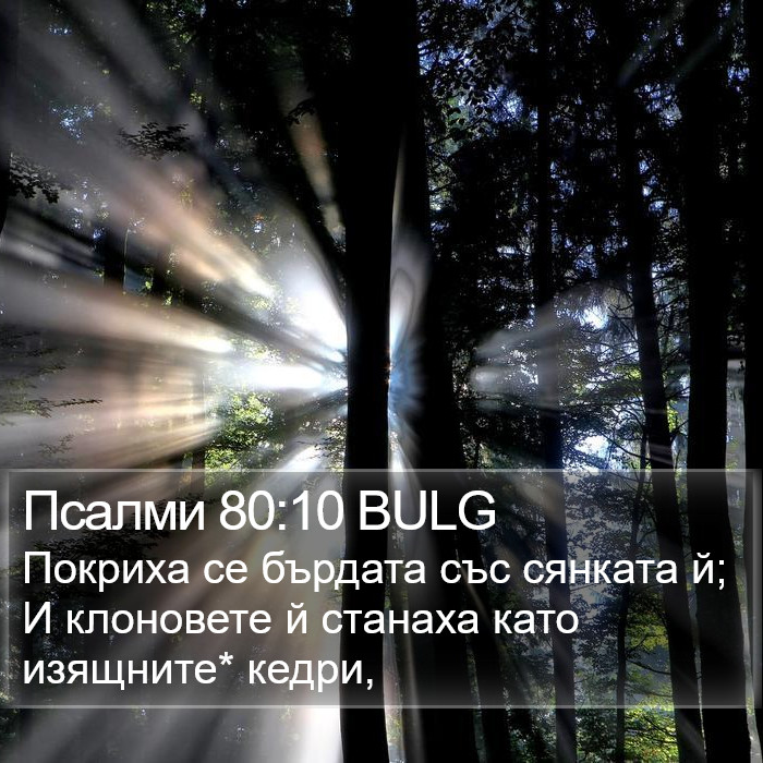 Псалми 80:10 BULG Bible Study