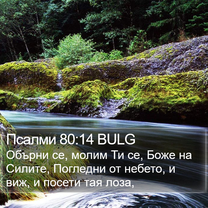 Псалми 80:14 BULG Bible Study