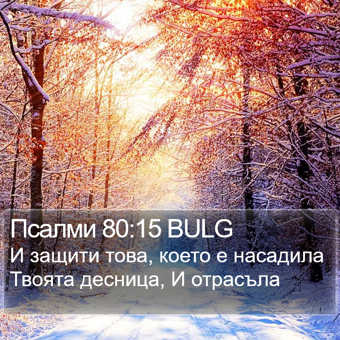 Псалми 80:15 BULG Bible Study