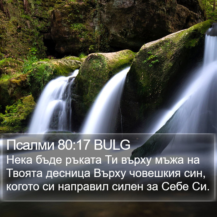 Псалми 80:17 BULG Bible Study