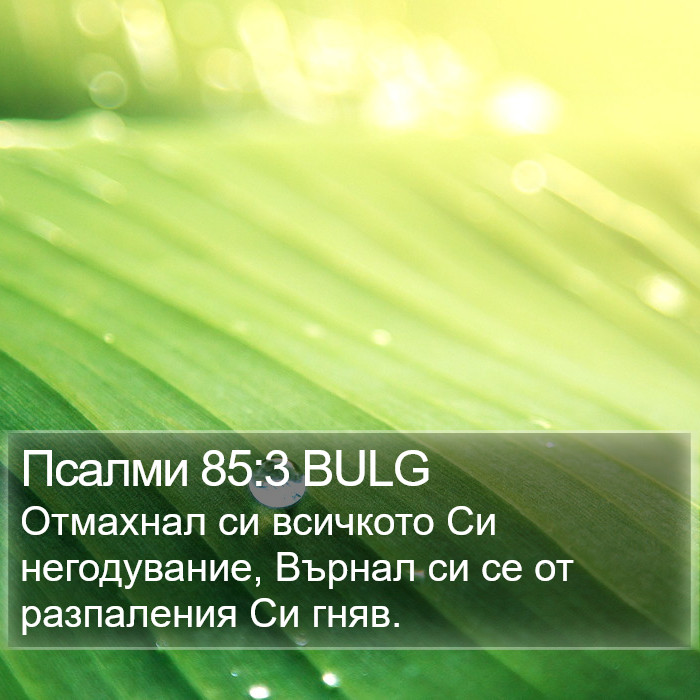 Псалми 85:3 BULG Bible Study