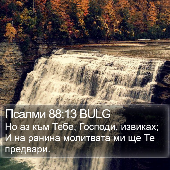 Псалми 88:13 BULG Bible Study
