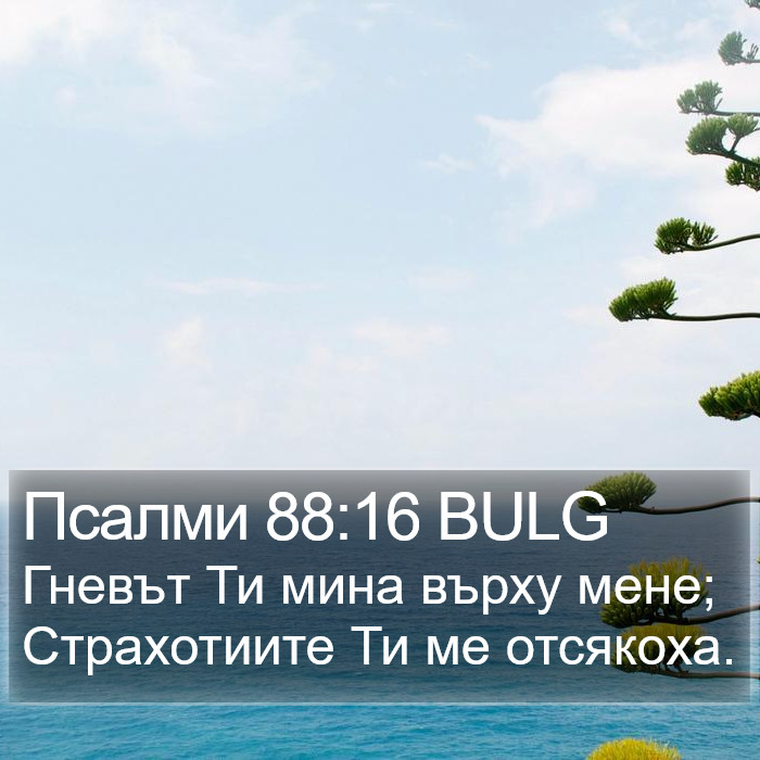 Псалми 88:16 BULG Bible Study