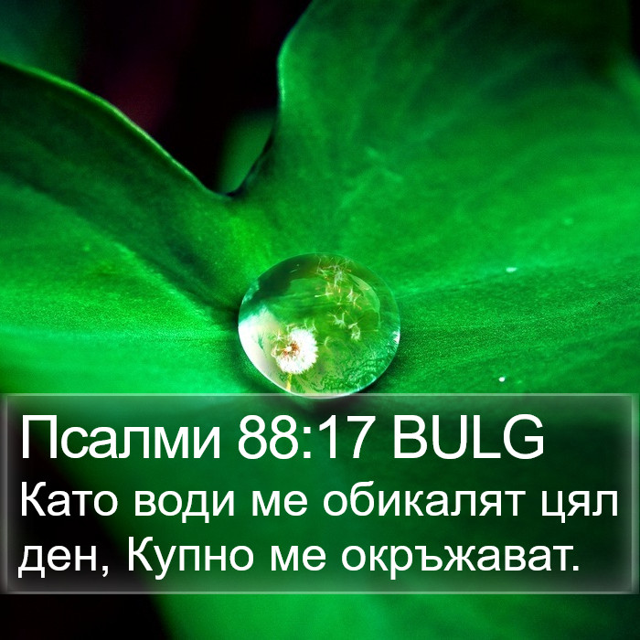 Псалми 88:17 BULG Bible Study