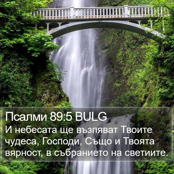 Псалми 89:5 BULG Bible Study