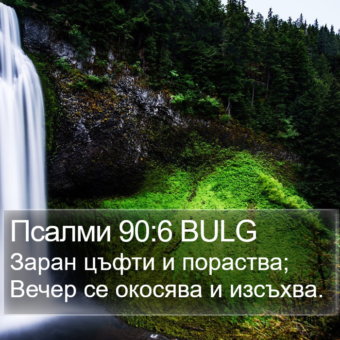 Псалми 90:6 BULG Bible Study