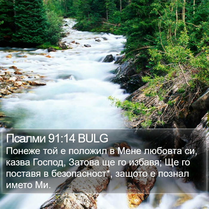 Псалми 91:14 BULG Bible Study