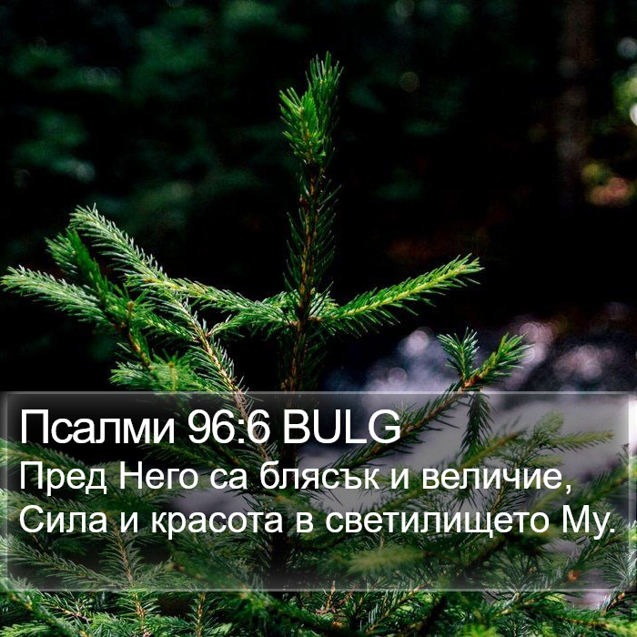 Псалми 96:6 BULG Bible Study