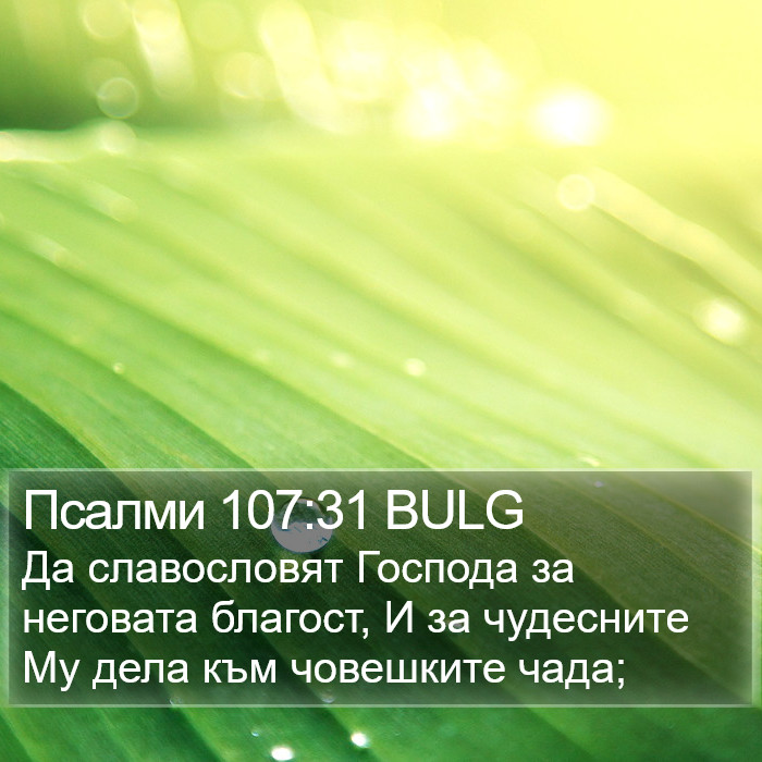 Псалми 107:31 BULG Bible Study