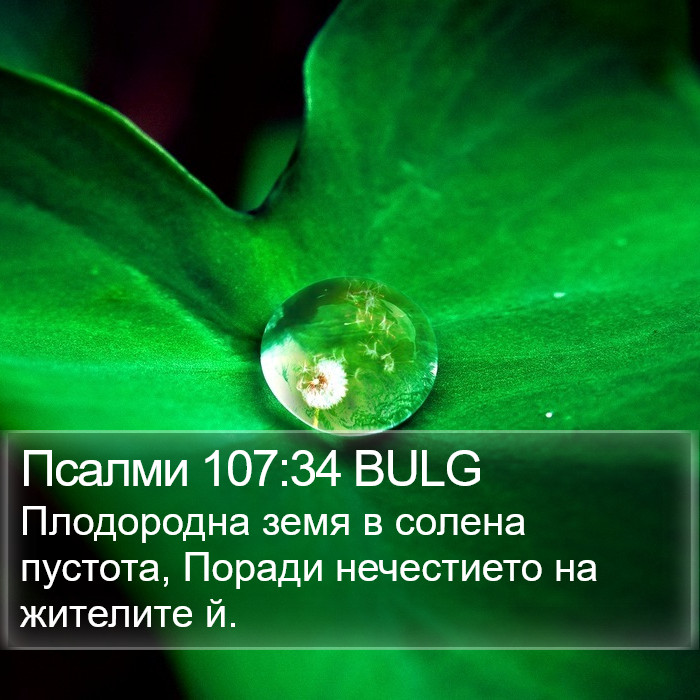 Псалми 107:34 BULG Bible Study