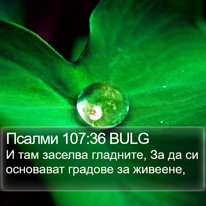 Псалми 107:36 BULG Bible Study