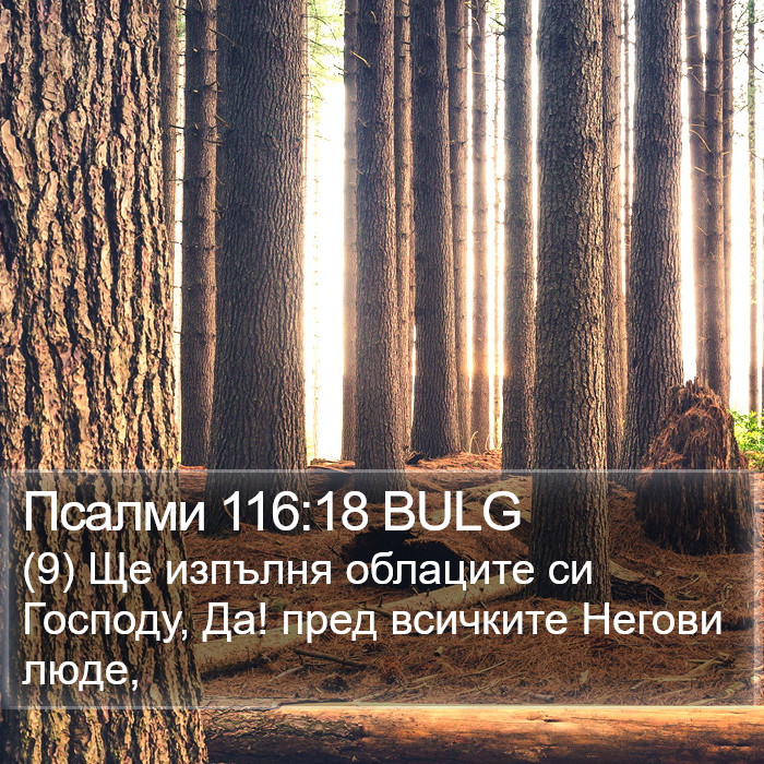 Псалми 116:18 BULG Bible Study