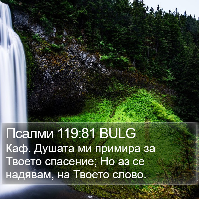 Псалми 119:81 BULG Bible Study
