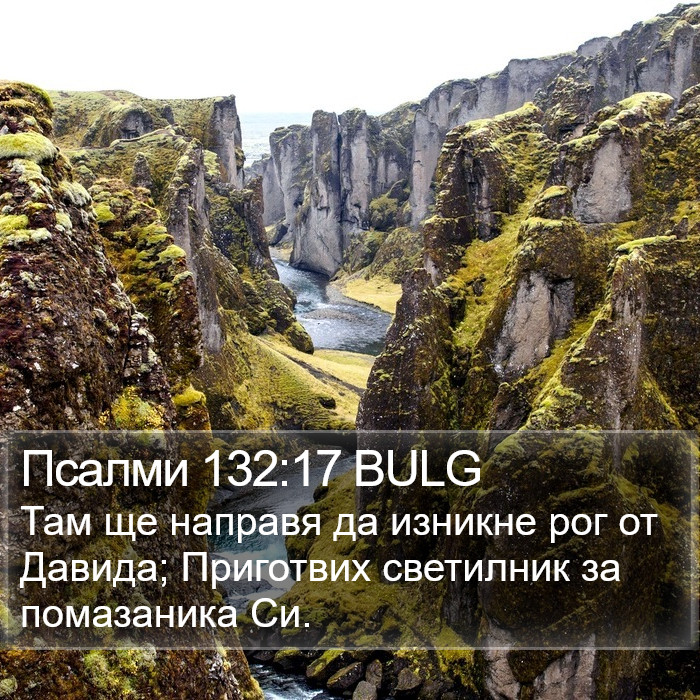 Псалми 132:17 BULG Bible Study