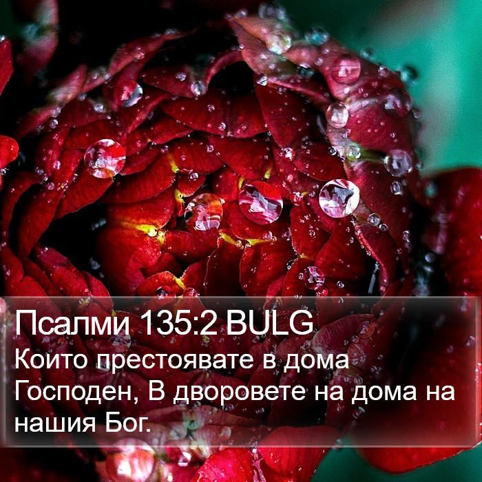 Псалми 135:2 BULG Bible Study