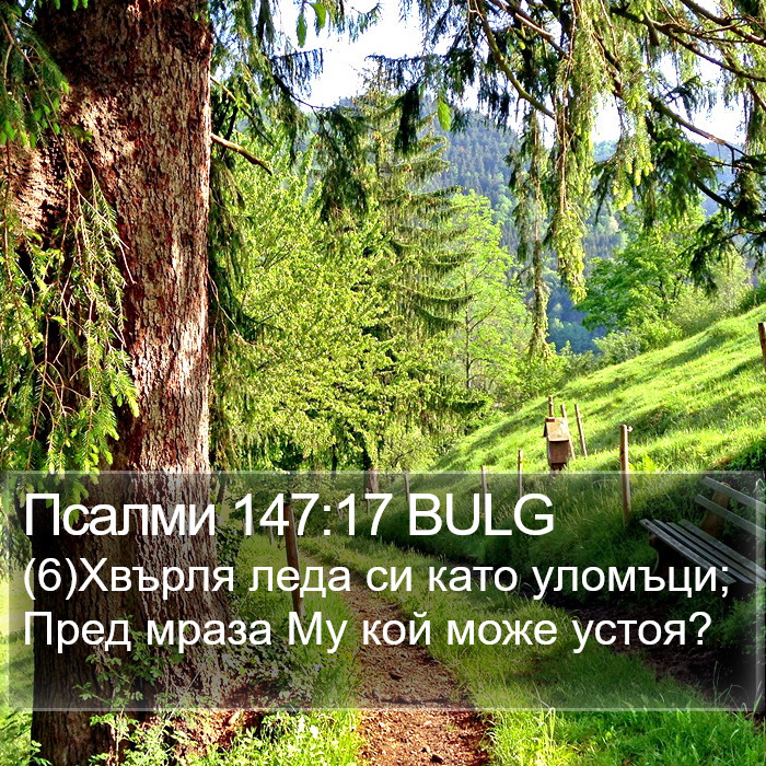 Псалми 147:17 BULG Bible Study