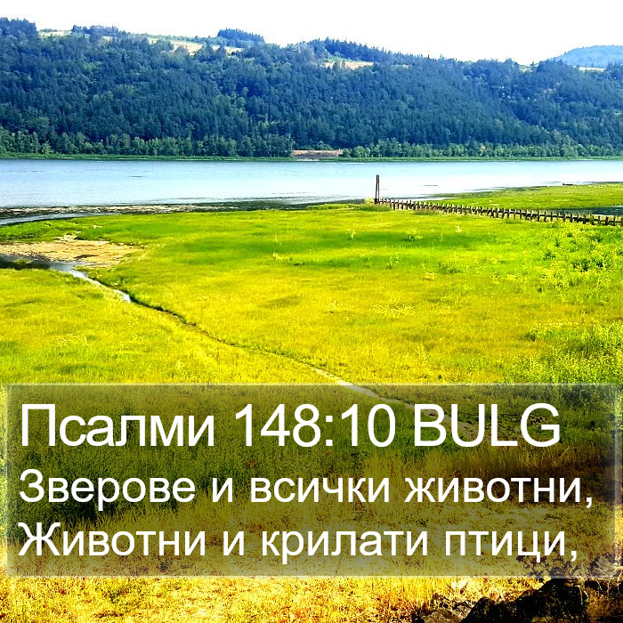 Псалми 148:10 BULG Bible Study