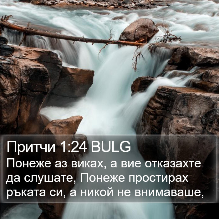 Притчи 1:24 BULG Bible Study