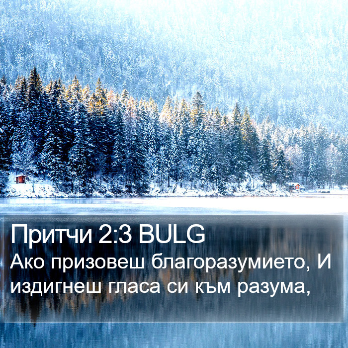 Притчи 2:3 BULG Bible Study