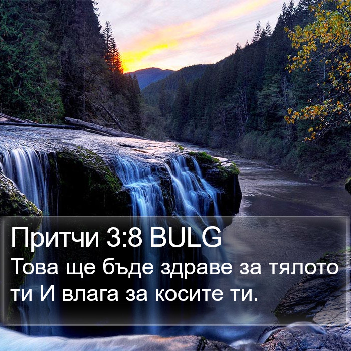 Притчи 3:8 BULG Bible Study